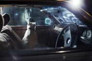 The Silence of Dogs in Cars From Martin Usborne's The Silence of Dogs in Cars, via fastcocreate.com